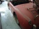 59 bugeye2